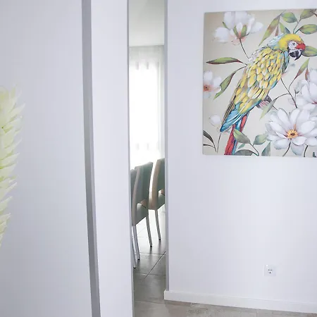 Real Holidays Apartamento *