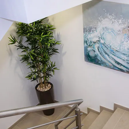 Real Holidays * נאזרה